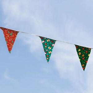 Show details for Branded Bunting