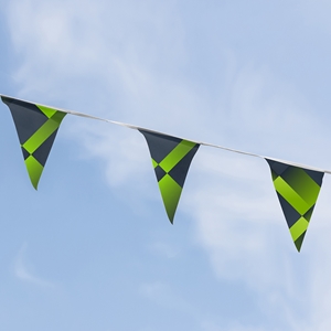 Show details for Branded Bunting