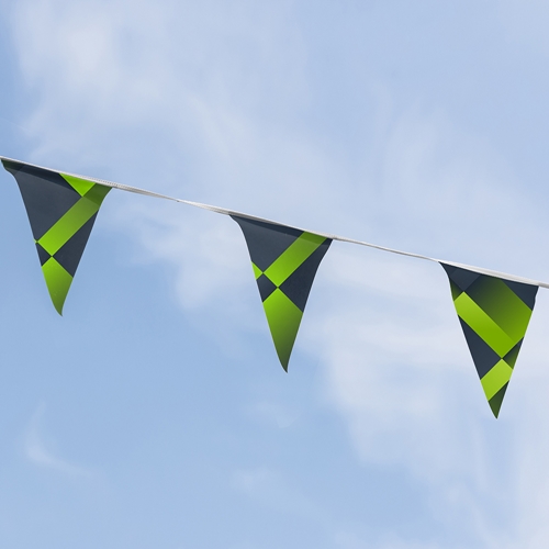 Show details for Branded Bunting